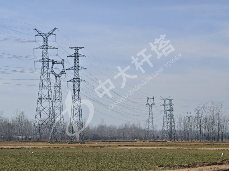 國網安徽肥西500kV變電站間隔出線改造工程.jpg